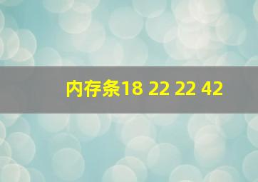 内存条18 22 22 42